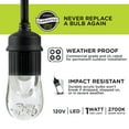 thumbnail image 5 of Enbrighten Classic LED Café String Lights, 24ft. 12 Acrylic Bulbs, Indoor/Outdoor, Weatherproof, Shatterproof, Black Cord, 31662, 5 of 11