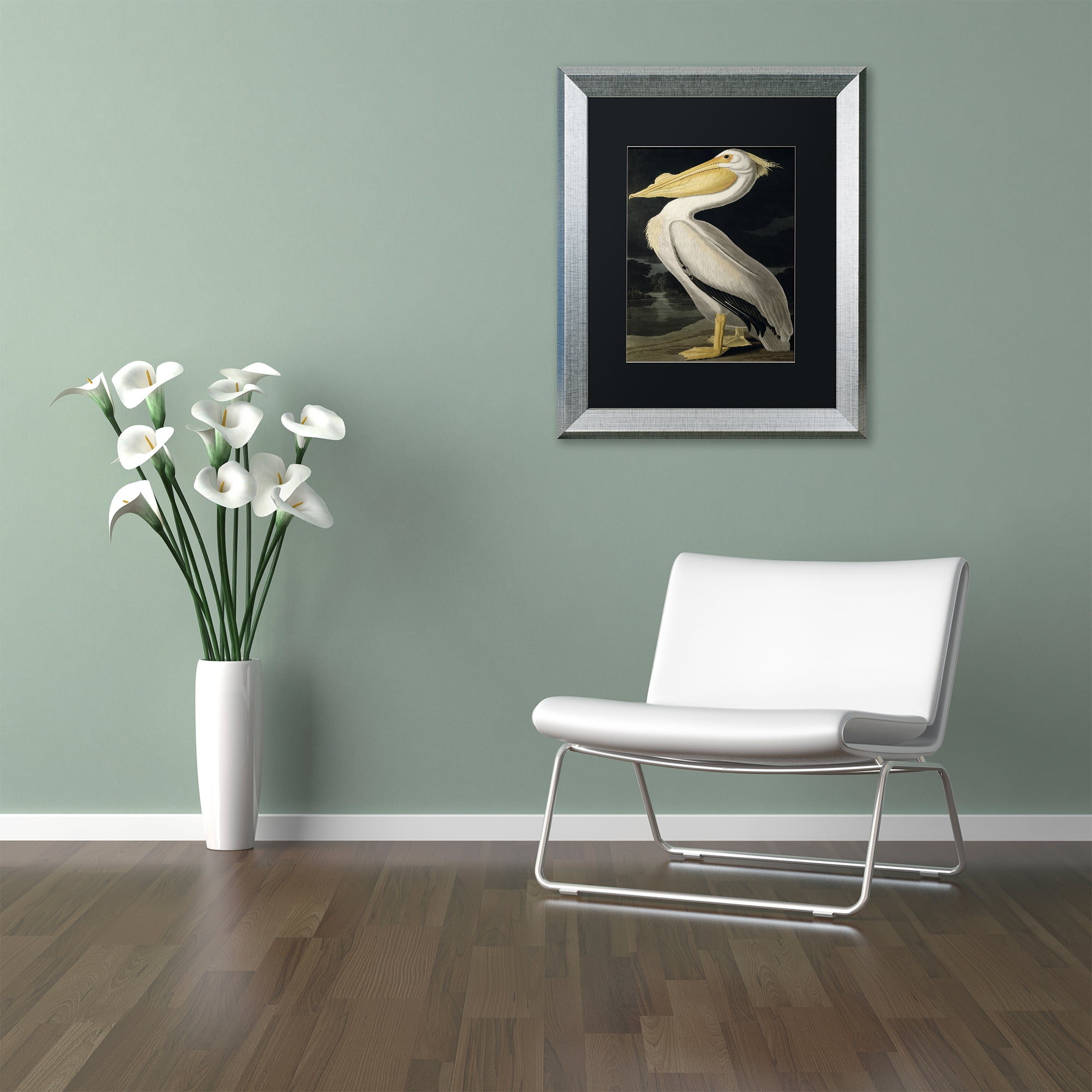 Trademark Fine Art "American White Pelican" Canvas Art by John James Audubon Black Matte, Silver Frame