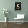 thumbnail image 3 of Trademark Fine Art "American White Pelican" Canvas Art by John James Audubon Black Matte, Silver Frame, 3 of 4