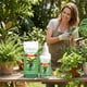 thumbnail image 1 of Nutriente para el crecimiento de plantas, sistema de plantas, suplemento nutricional y mantenimiento, solución nutritiva para el enraizamiento de plantas, flores en macetas, 50 ml, 1 of 9