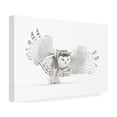 thumbnail image 4 of Jim Cumming 'Snowy Owl Jazz Wings' Canvas Art, 4 of 4