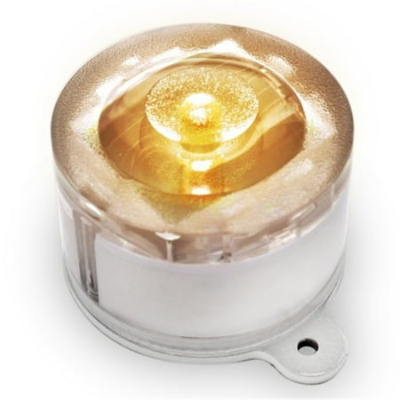 Solar Lamp