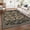 Dark Grey, variant on Snake Washable Runners for Hallways 2x6 Runner Rug for Kitchen Non Slip with Rubber Back Forest Soft Low-Pile Stain Resistant Thin Carpet for Bedroom Bedroom Laundry Room Dark Grey