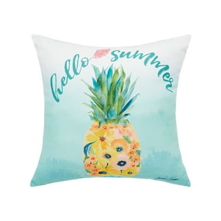 Indoor outdoor pillows clearance walmart