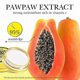 thumbnail image 5 of Papaya Extract Lip Balm for Dry Lips - 6g Hydrating Lip Care with Shea Butter, 5 of 5