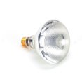 thumbnail image 1 of Giles 25356 130V 150W Coated Lamp, 1 of 1