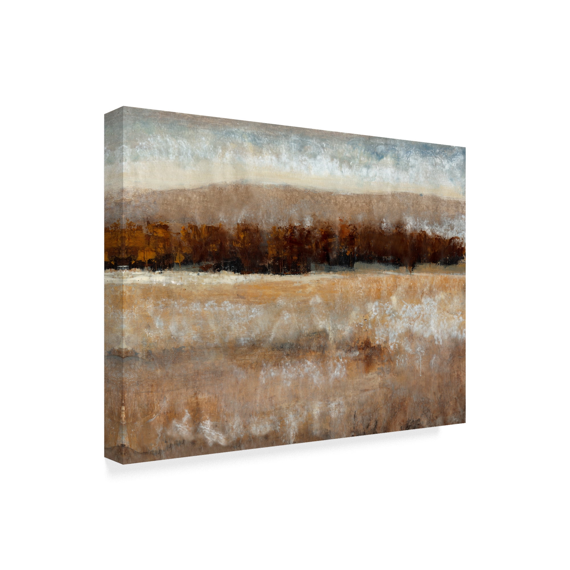 Trademark Fine Art 'Umber Light II' Canvas Art by Tim OToole