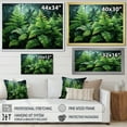 thumbnail image 4 of Designart "Forest Of Emerald Green Ferns IV" Plants Floater Framed Wall Decor, 4 of 5