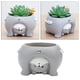 thumbnail image 4 of Macetas suculentas Maceta de resina para flores Macetas pequeñas para plantas suculentas, Bonita maceta de cactus / Jardineras de jardín, de Na Gato, 4 of 7