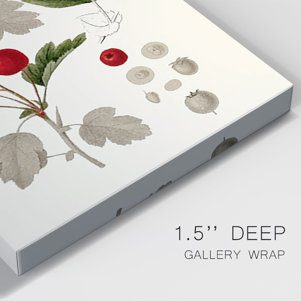 Leaves & Berries III Premium Gallery Wrapped Canvas - Ready to Hang