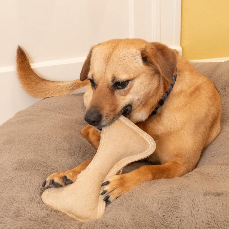 SPOT Dura-Fused Leather Bone Dog Toy with Squeaker, Durable