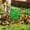 Green, variant on YIMWNYI 21 Tooth Rake for Gardening, Heavy Duty Garden Tool, Efficient Leaf Collector, Perfect for Sweeping Grass and Debris, Durable Outdoor Rake for Yard Work, Lawn Maintenance