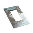 thumbnail image 3 of Kll Funny Cat Wall Plate,Gloss Finish,Standard Size 1 - 5" X 3", Polycarbonate Thermoplastic,Electric Receptacle Plug Covers, 3 of 8