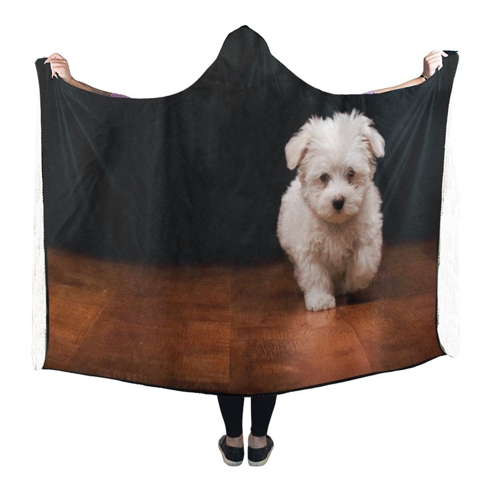 Dog wearable blanket sale