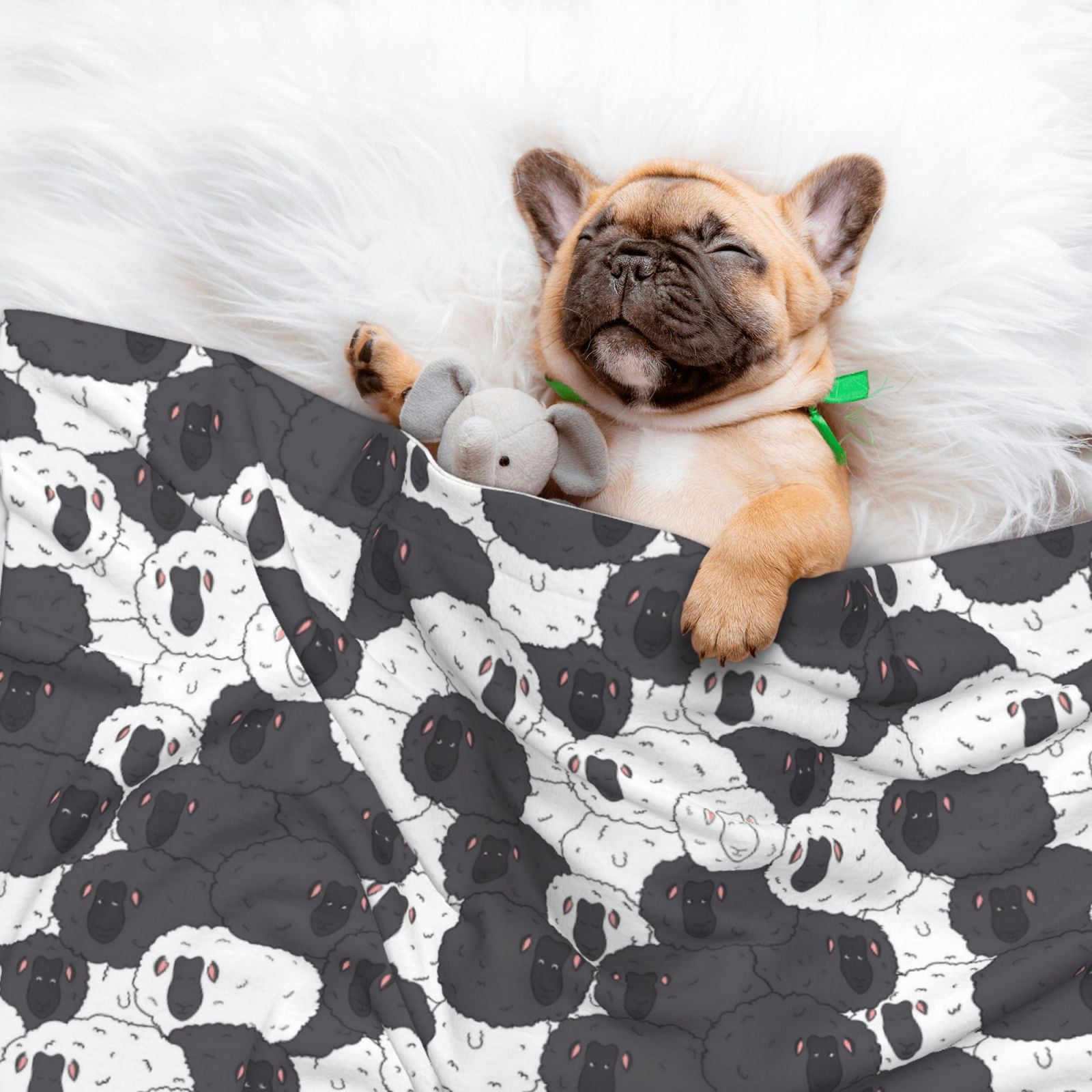 Naloa Black And White Sheeps Dog Blanket, 3 Sizes Cat Blanket for Indoor Cats Large Medium Small Dog Gifts-Large