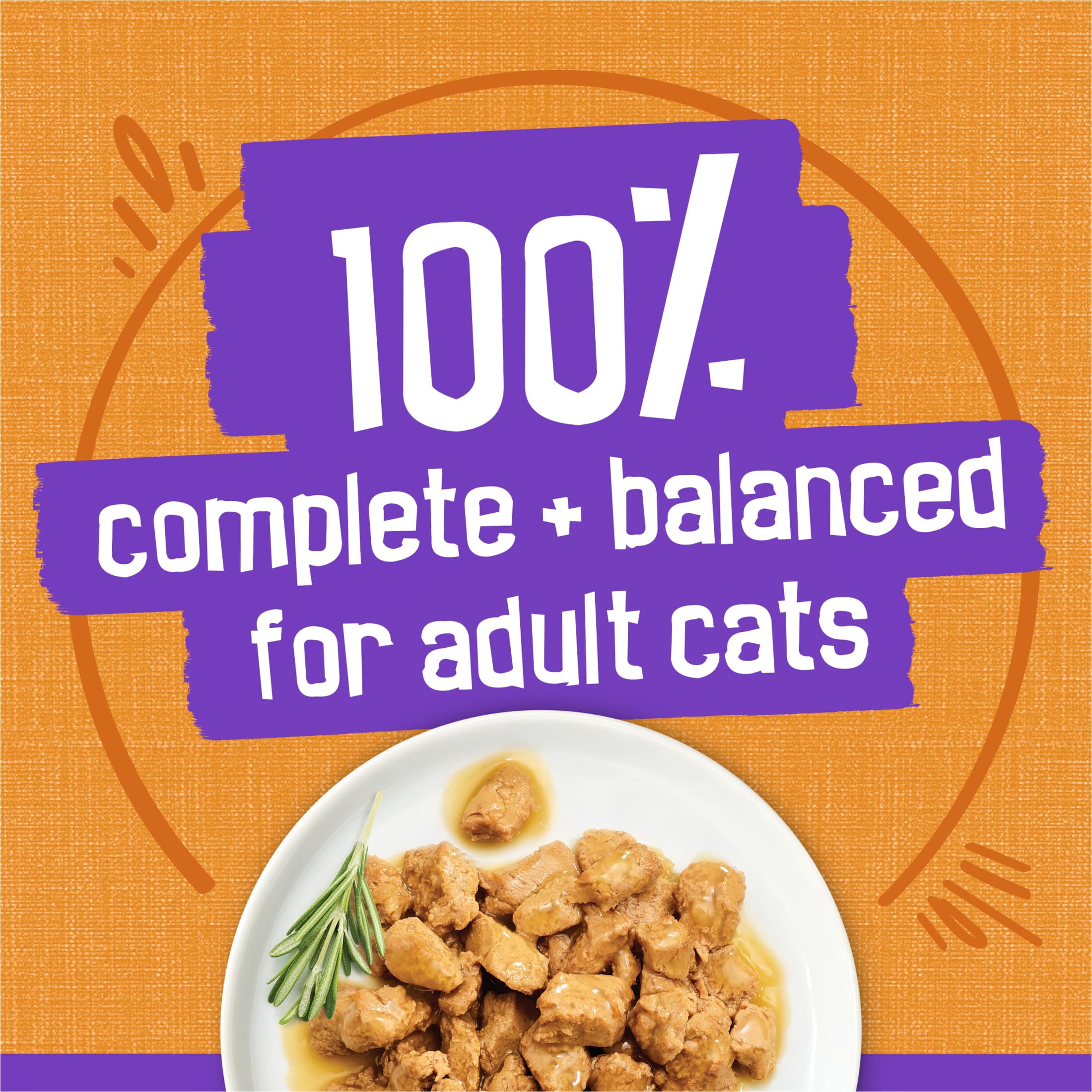 (12 pack) Purina Friskies Meaty Bits Chicken Dinner in Gravy Wet Cat Food, 13.5 oz Can