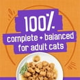 thumbnail image 4 of Purina Friskies Meaty Bits Chicken Dinner in Gravy Wet Cat Food, 13.5 oz Can, 4 of 9