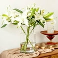 thumbnail image 5 of BLOFLO Clear Glass Vase, 9 Inch Large Glass Vase for Flowers, Modern Thick Glass Flower Vases for Centerpieces, Decorative Glass Cylinder Hydroponic Vase for Wedding, Home, Office (Clear, 9Inch), 5 of 13