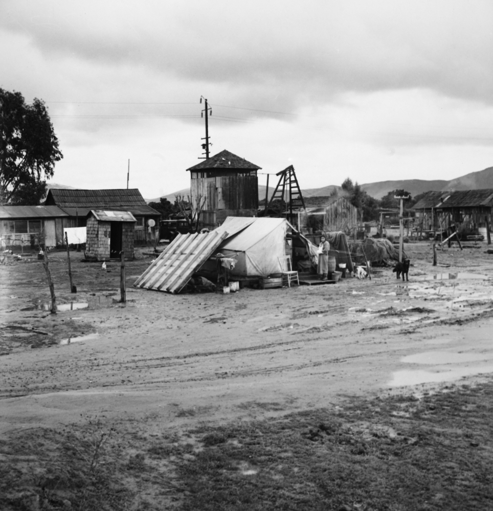 Migrant Camp 1939 Na Mexican Migrant FamilyS Camp Near Strathmore