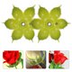 thumbnail image 3 of 50 piezas de cálices de flores de plástico, sépalos de plástico, receptáculos de cálices de flores falsas para flores de bricolaje, 3 of 6