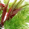 thumbnail image 3 of HONMEET 11Pc Aquarium Plant Decorations Plastic Artificial Plants for Fish Tank, 3 of 7
