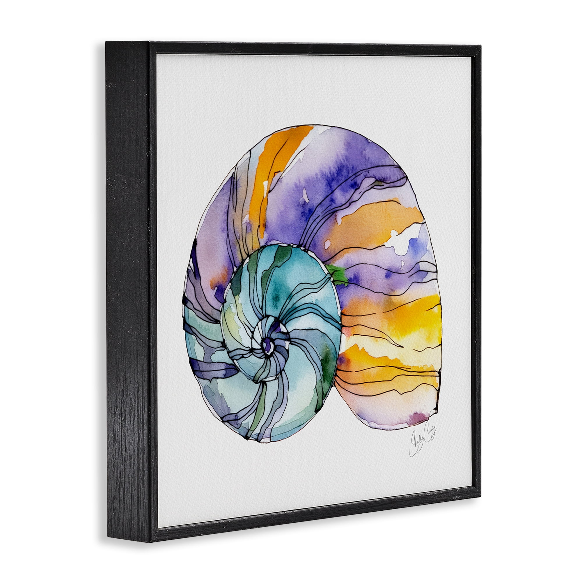 Stupell Industries Sunlit Striped Nautilus Black Framed Giclee Art, design by Shelly Craig