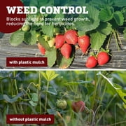 Black Plastic Mulch, 4 x 100 with Weed Prevention and Moisture Retention