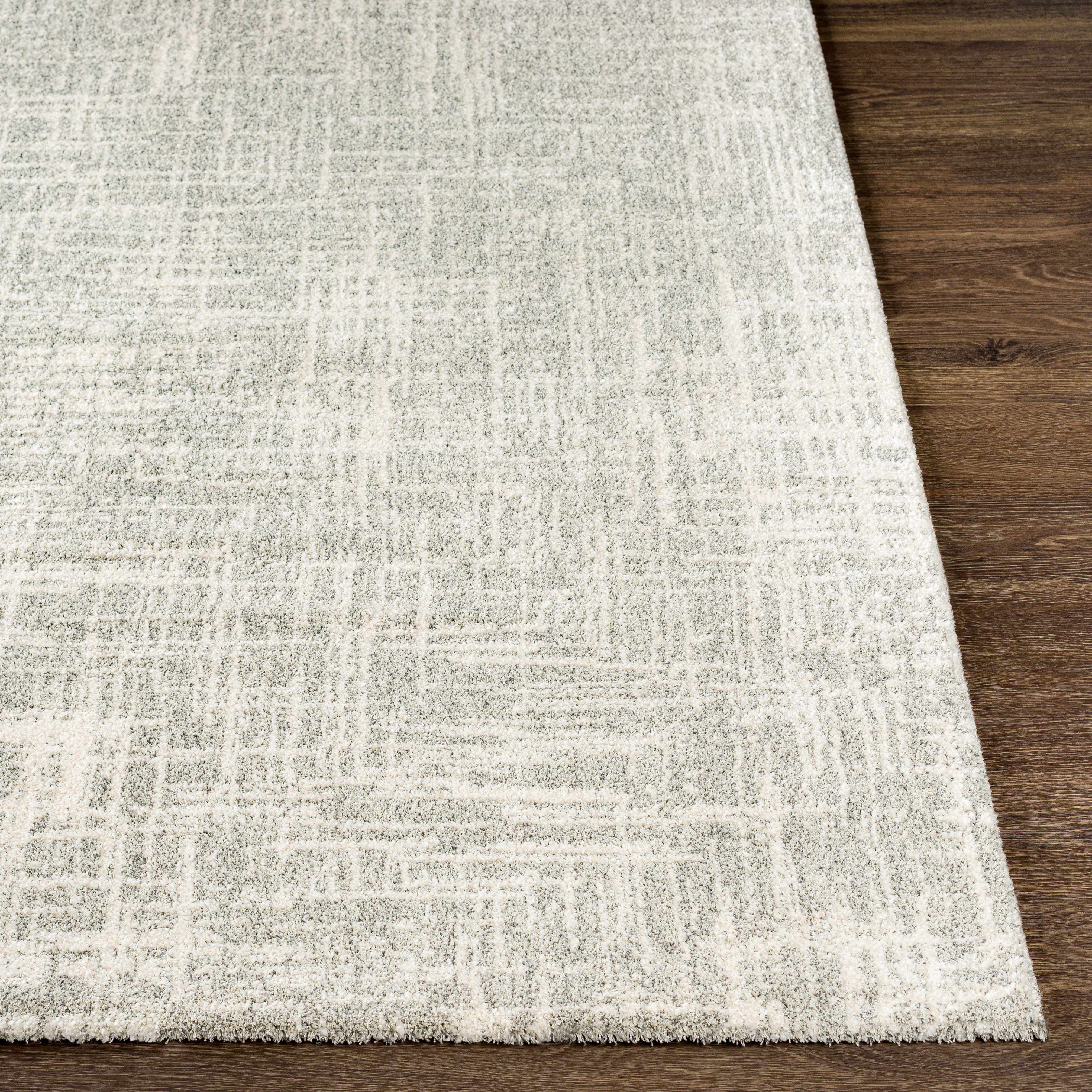 Hauteloom Cowbridge Living Room, Bedroom Area Rug - Contemporary - High Pile - Charcoal, Cream, Peach - 2' x 3'