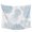 white, variant on Light Blue Coastal Tapestry for Bedroom Wall Hanging Tapestry, Coral Jellyfish Starfish Ocean Nautical Ceiling Backdrop Tapestries Poster Blanket Wall Decor for Teens Room Living Room Dorm 59" x 79"