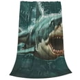 thumbnail image 2 of Zufioo Abstract Geometric Shark Fleece Blanket Queen Size,Plush Bed Blanket,Ultra Soft Throw Blanket,Plush Fuzzy Cozy Blanket Perfect for Bed,Couch-40"x30", 2 of 7