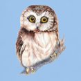 thumbnail image 3 of CafePress - Cute Little Watercolor Saw Whet Owl Bird Nature Ar - Light T-Shirt - CP, 3 of 4