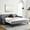 Grey, variant on Waved Arms Decoration - Twin Daybed for Adding a Touch of Chic to Your Room