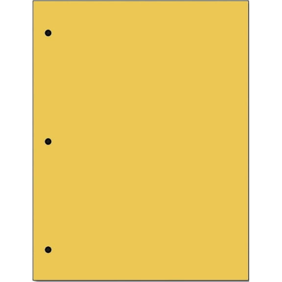Copy And Printing Color Paper, 20 Lb. 3 Hole Punch 500 Sheets Per Ream. (Gold)