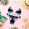 thumbnail image 6 of Starry Sky Flamingo Detachable Sponge Adjustable Strap Bikini Set Two-Pack Swimsuit Swim Suits Swim Wear, 6 of 6