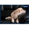 thumbnail image 3 of ADAPTIL Refill 3-Pack - Calms & Comforts Dogs at Home, When Home Alone or During Loud Noises & Stressful Events - Use ADAPTIL for Dogs with ADAPTIL Diffusers (90 Day Supply, ADAPTI, 3 of 7