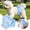 A, variant on BVCL Puppy Sanitary Lace Pants Bow Female Underwear For Heat
