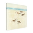 thumbnail image 2 of Avery Tillmon 'Sandpipers Square II Blue' Canvas Art, 2 of 4