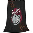 thumbnail image 2 of Roanoke College Logo Fleece Blanket, Very Soft Microfiber Flannel Blanket for Couch Warm and Cozy for All Seasons, 2 of 6