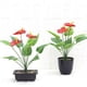 thumbnail image 2 of Anthurium de 12 cabezas Bearachild flores falsas alternativas decoración para oficina adorno de mano de planta emulacional de plástico, 2 of 6