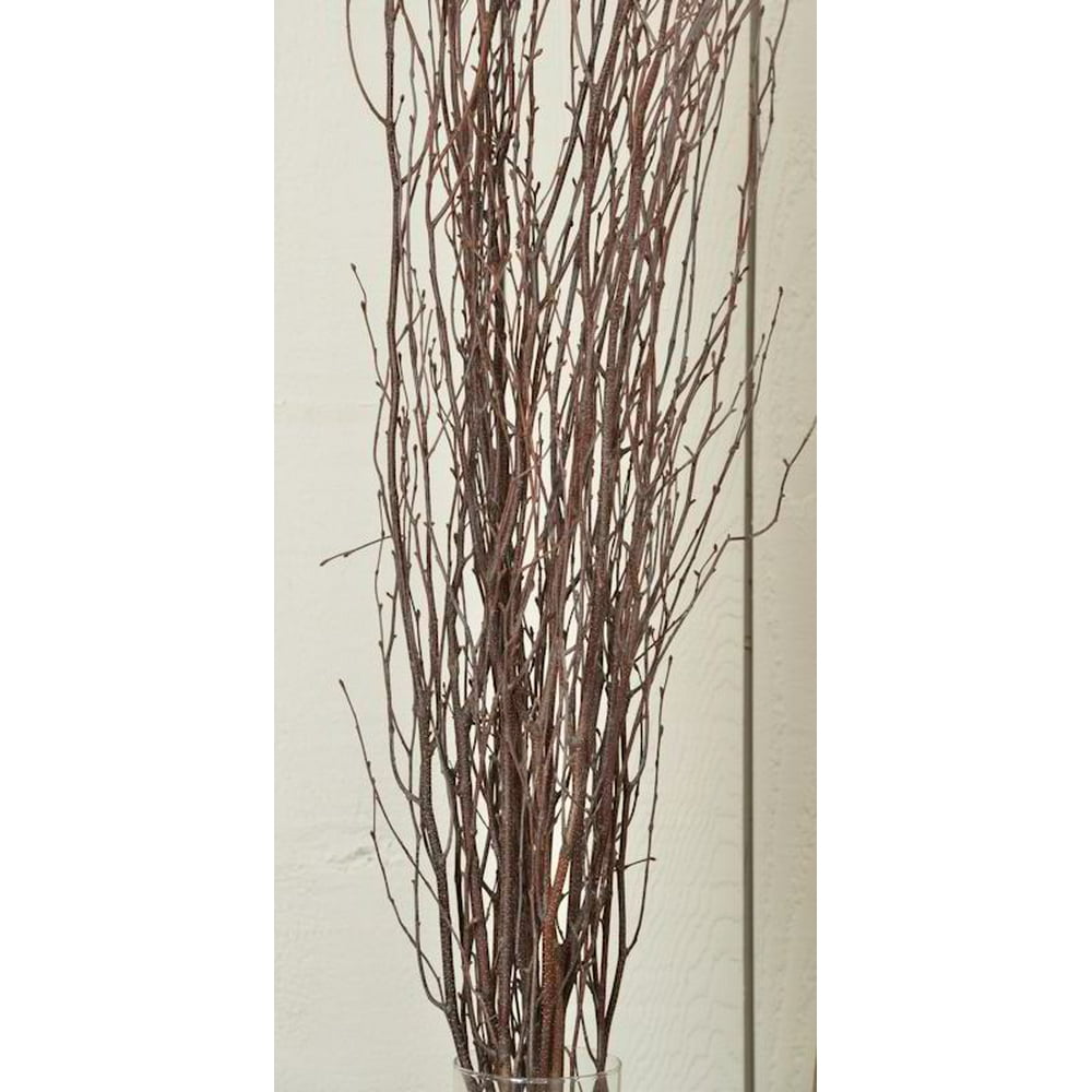 Decorative Natural brown Birch Branches 5 stems per bunch, 34 feet tall Single Bunch