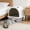 Black Gray White Polypropylene, variant on LHSHID Easy to Clean Litter Box,Covered Cat Litter Box