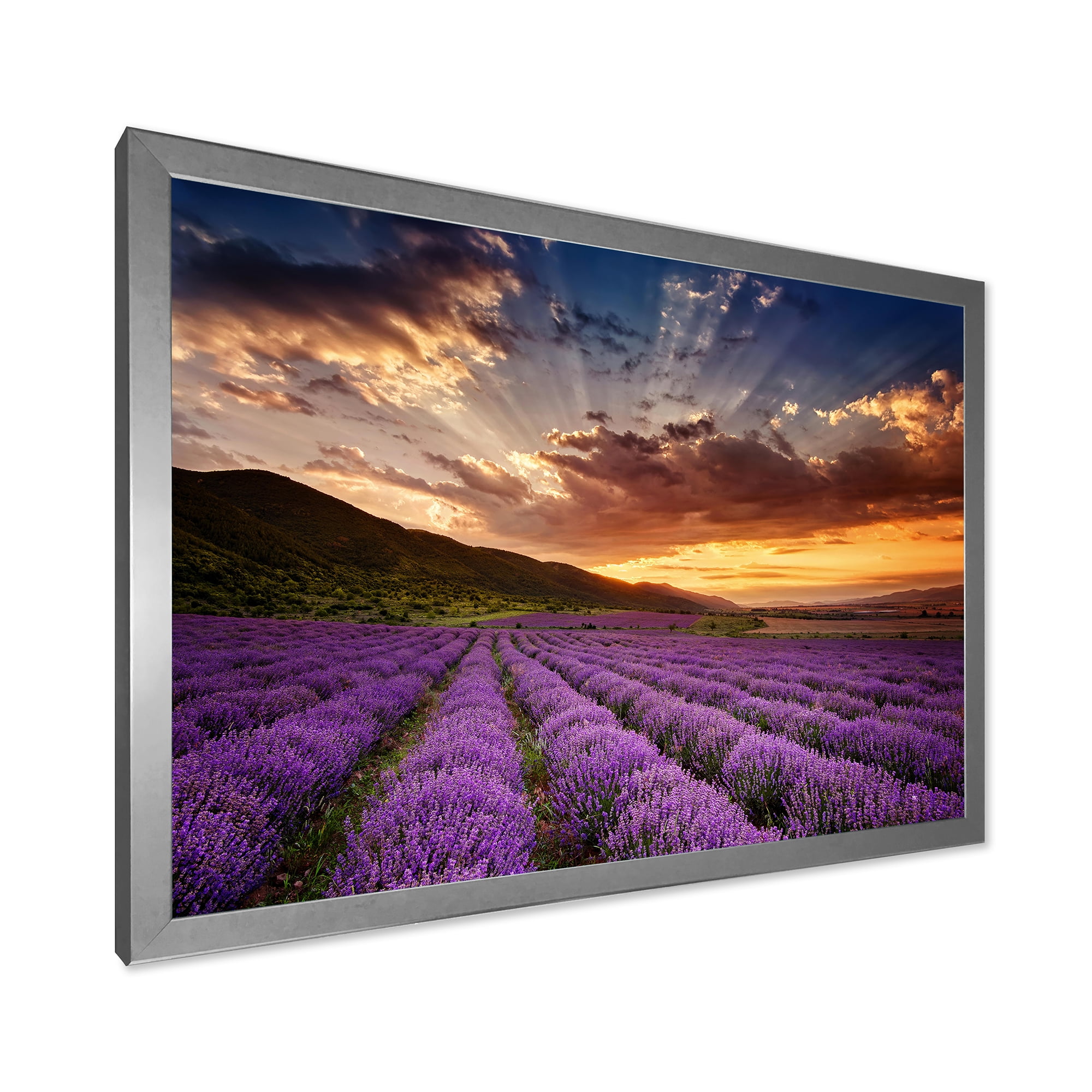 Designart 'Dramatic Clouds and Sunrise Over Lavender Field X' Farmhouse Framed Art Print