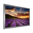thumbnail image 2 of Designart 'Dramatic Clouds and Sunrise Over Lavender Field X' Farmhouse Framed Art Print, 2 of 4