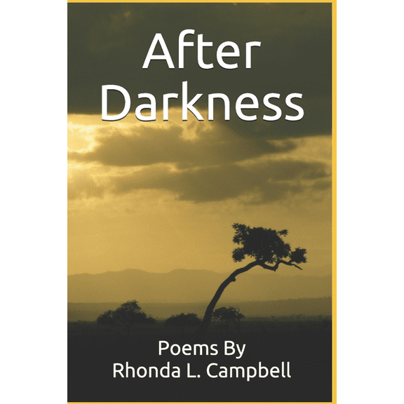 After Darkness (Paperback)