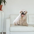 thumbnail image 1 of Almohada de felpa de animales juguete de peluche de animales de peluche muñeca de peluche linda juguetes de acompañamiento para niños para decoraci Labrador Hugo, 1 of 10