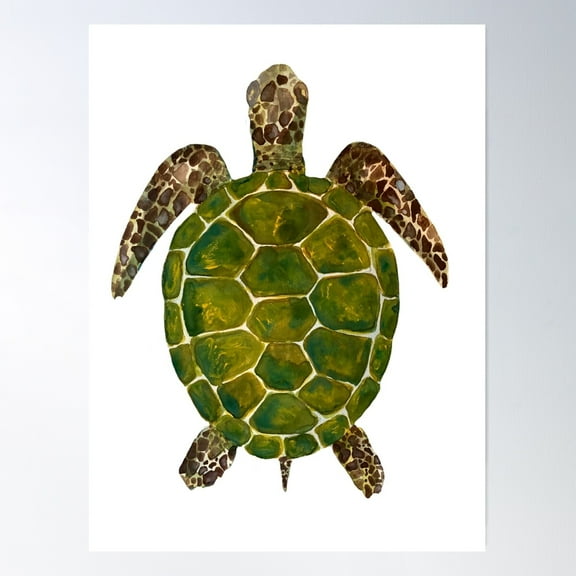 Green Sea Turtle Poster Wall Art, Modern Wall Decor For Living Room Bedroom, 16x24 UNFRAMED