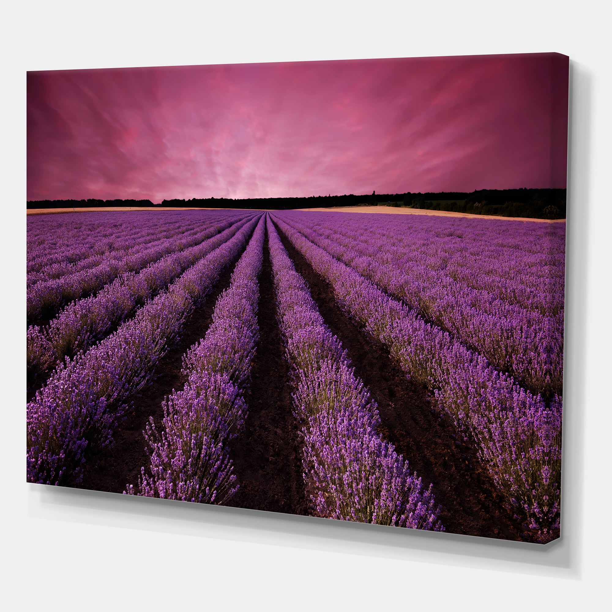 Dramatic Clouds and Sunrise Over Lavender Field XI 32 in x 16 in Photography Canvas Art Print, by Designart