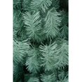 thumbnail image 3 of ARBOL NAVIDAD PINO NAVIDEÑO ARTIFICIAL NAVIPLASTIC VERDE OTOÑAL 220CM SIERRA NAVIPLASTIC NAVIDEÑO ARTIFICIAL VERDE OTOÑAL 220CM, 3 of 3