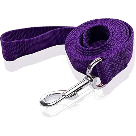 Eryueer Nylon Dog Leash 8 Feet Long, Walking Training Dog Leashes for Medium Large Dogs(1" X 8 ft, Purple)
