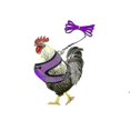 thumbnail image 1 of Chicken Harness And Leash, Modified Adjustable Breathable Harness Specially Designed For Chicken Duck Goose Training, 1 of 1